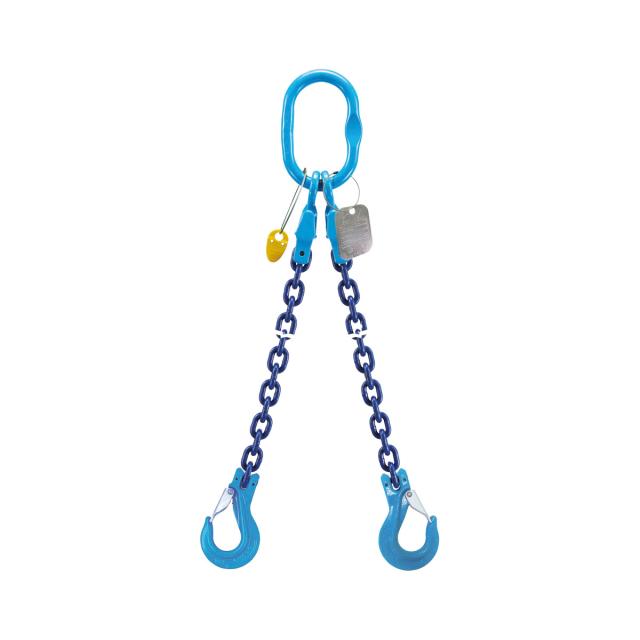 Slings with 2 Chains