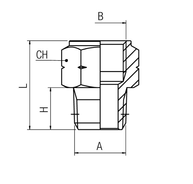 Adaptor Nipple BSPP - NPT